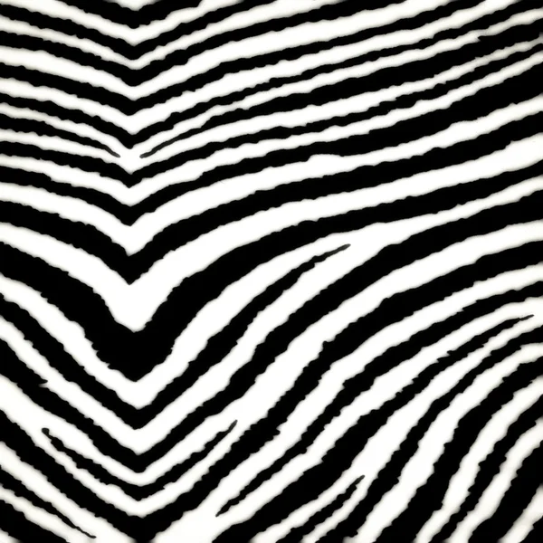Modèle sans couture Zebra — Photo