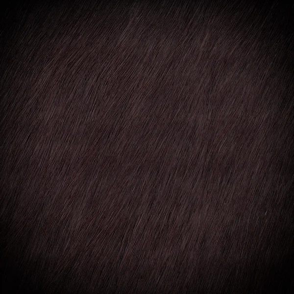 Black fur texture Stock Photo