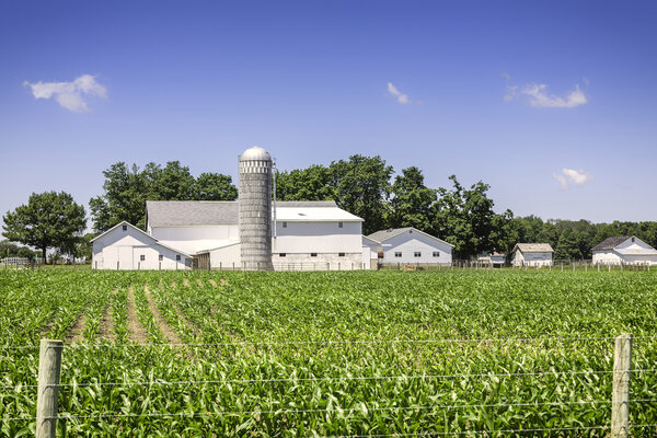 American countryside farm
