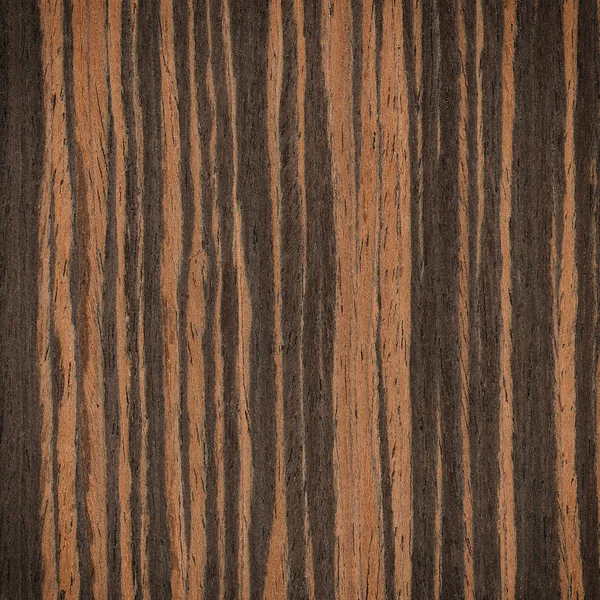 Ebony wood texture — Stock Photo, Image