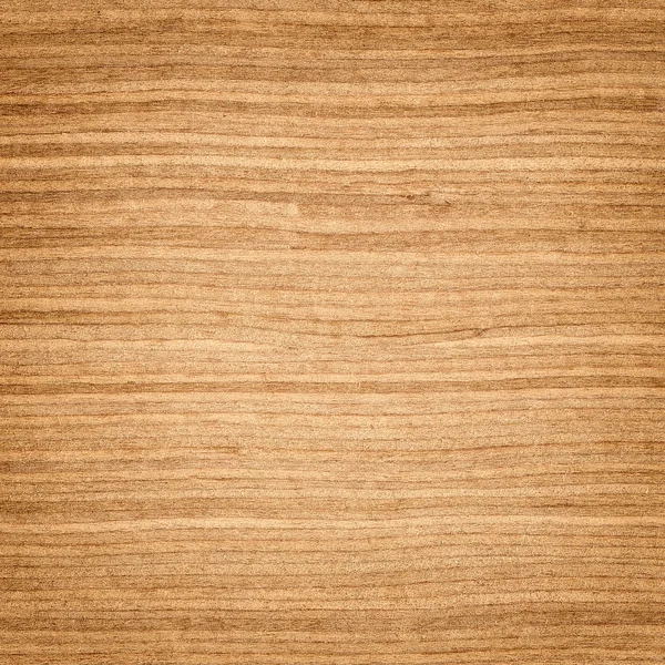 White oak texture — Stock Photo, Image