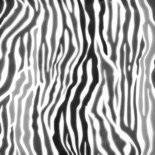 Hudmønster for sebra – stockfoto