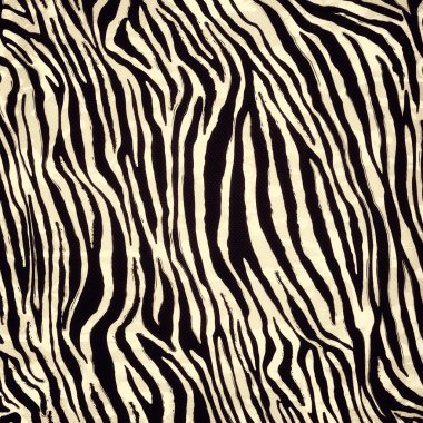 zebra deseni