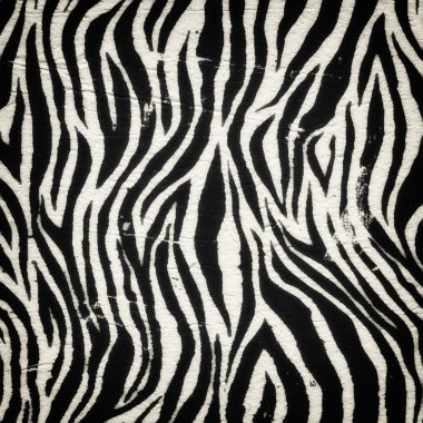 Vintage zebra desen