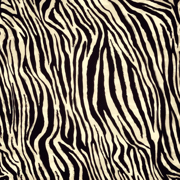 Padrão de zebra — Fotografia de Stock