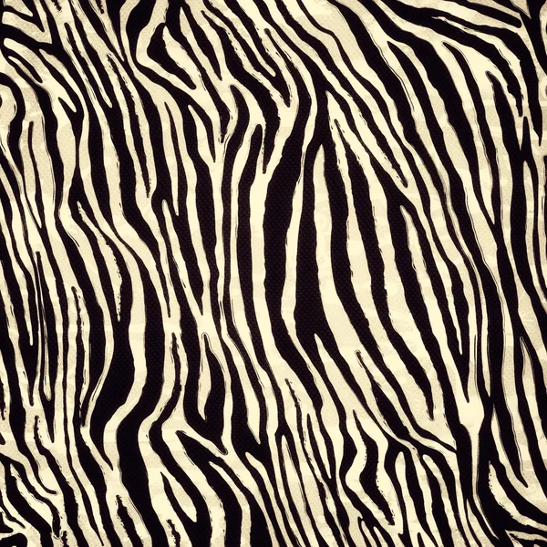 Vzor Zebra — Stock fotografie