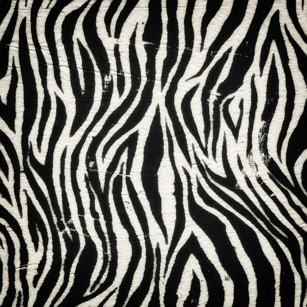 Винтажный узор зебры — стоковое фото