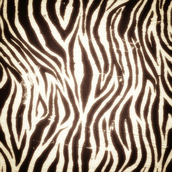 Vintage zebra pattern — Stock Photo, Image