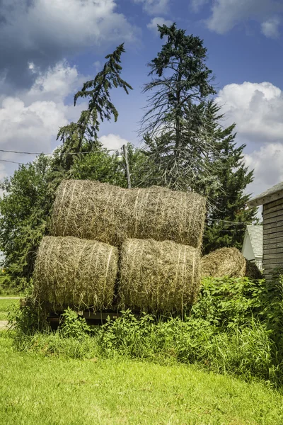 Hay boundles on green grass — Stock Photo, Image