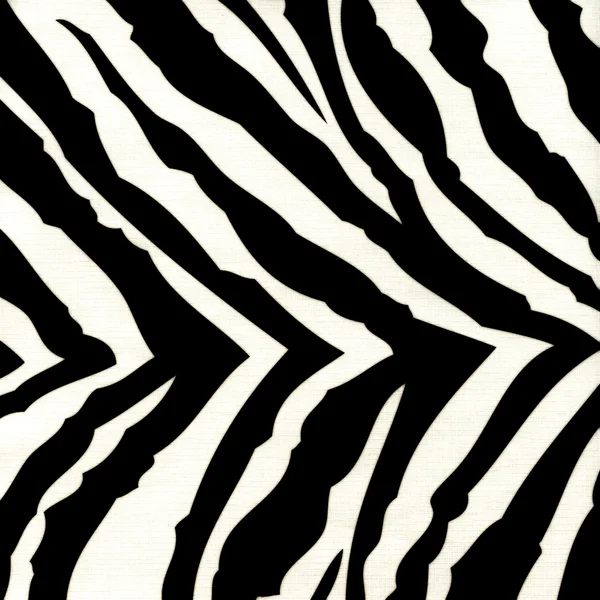 Zebrahintergrund — Stockfoto