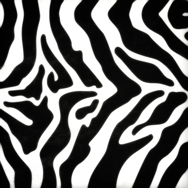 Zebra skin pattern — Stock Photo, Image