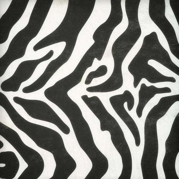 Zebra skin pattern — Stock Photo, Image