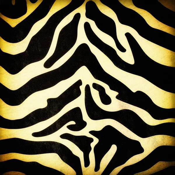 Zebra skin pattern — Stock Photo, Image