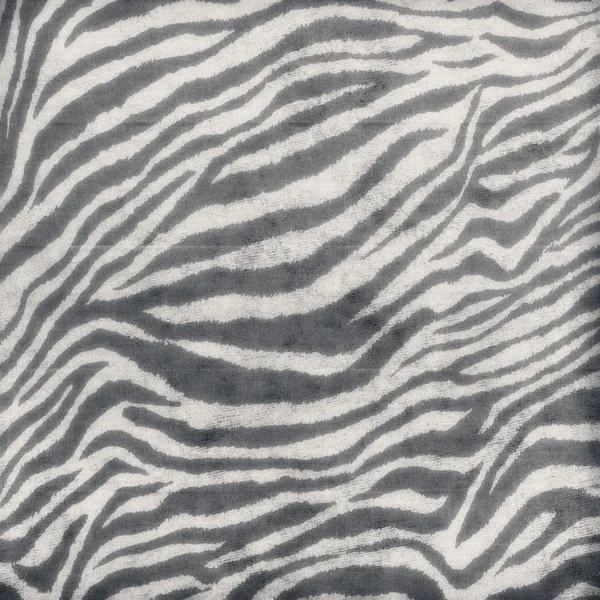 Pelle di zebra — Foto Stock