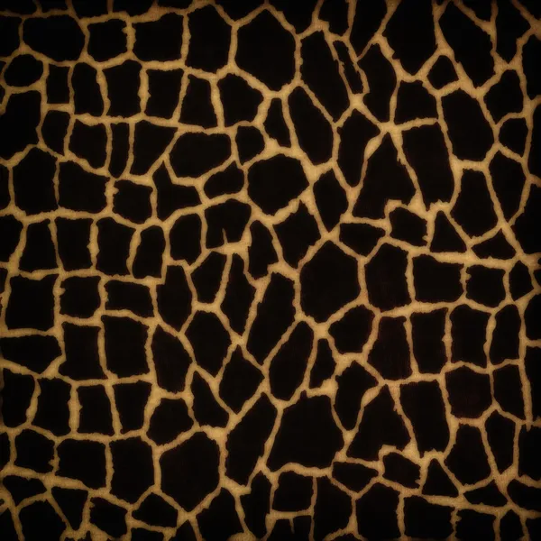 Wild animal skin — Stock Photo, Image