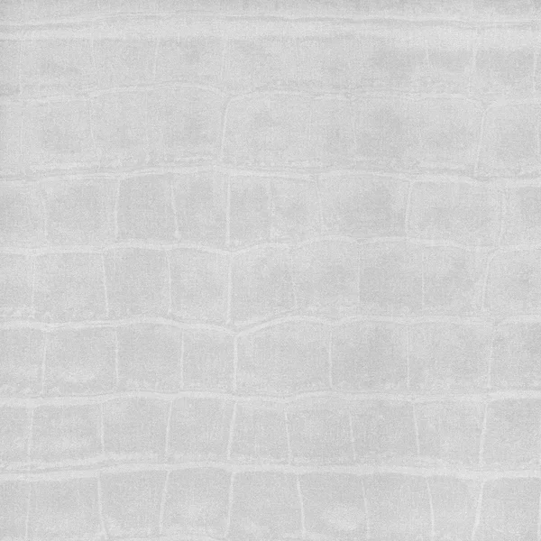 Grey paper with animal skin texture — Stock Photo, Image