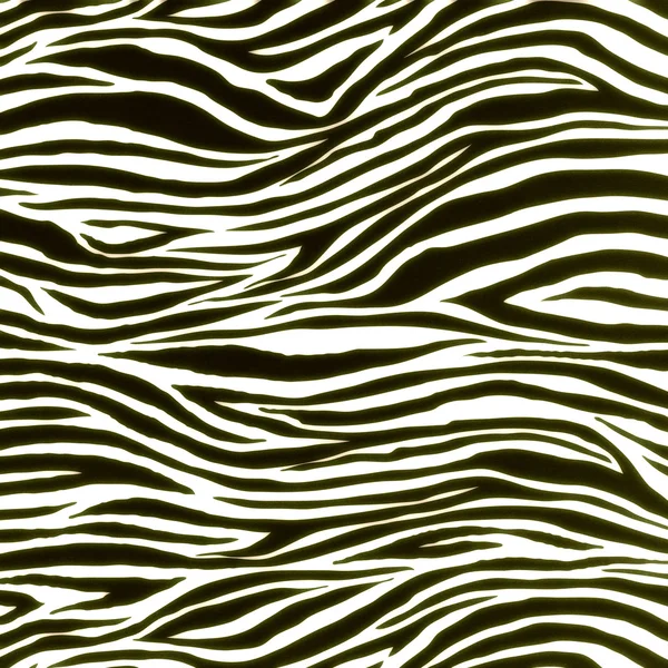 Zebra hud mönster — Stockfoto