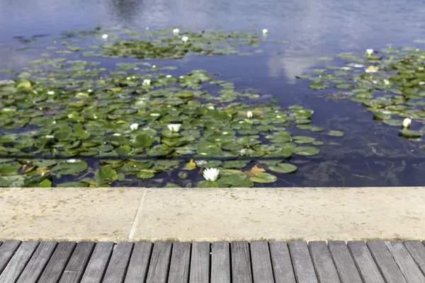 Houten platform met bloemen in het water — Stockfoto