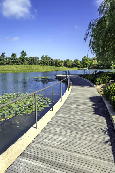 Houten platform met bloemen — Stockfoto