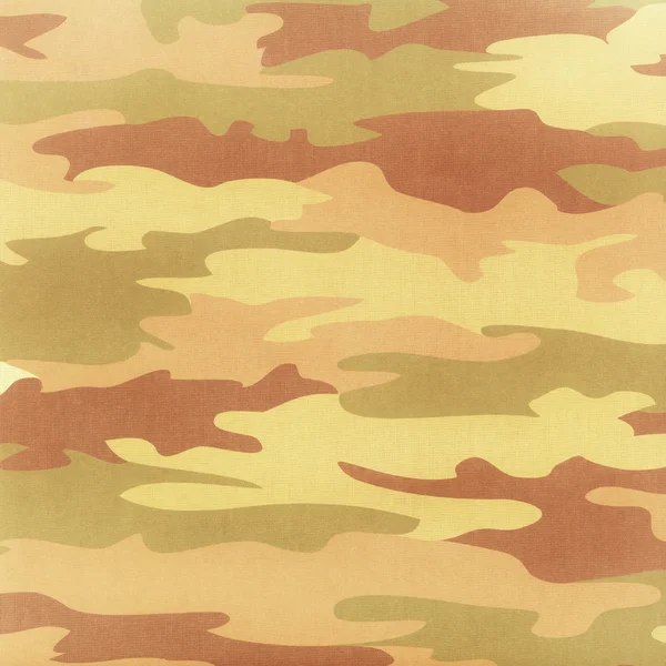 Modèle de camouflage — Photo