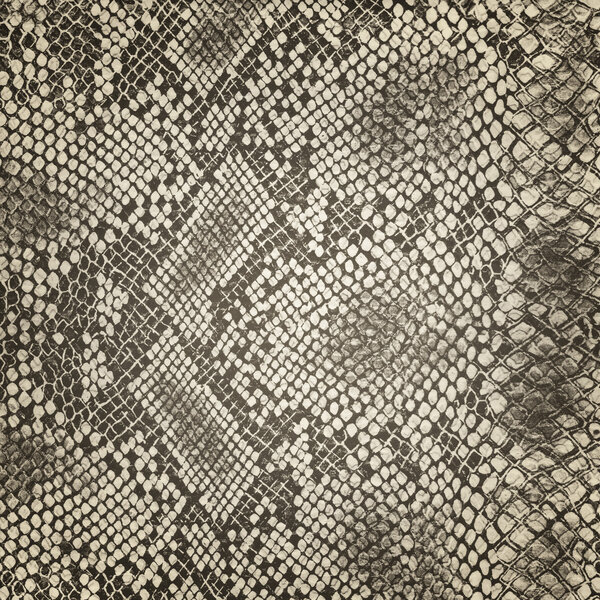 Wild animal body skin pattern