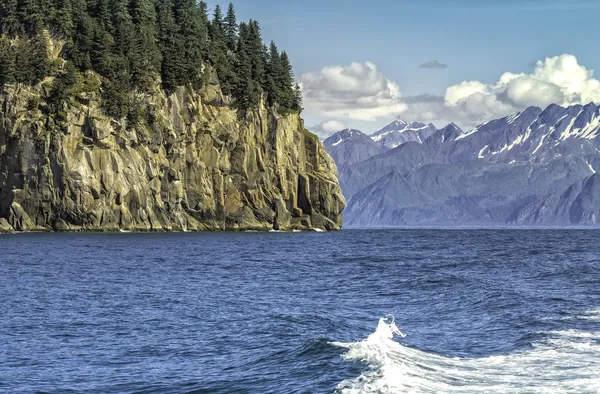 Dieren in het wild cruise rond opstanding baai in alaska — Stockfoto