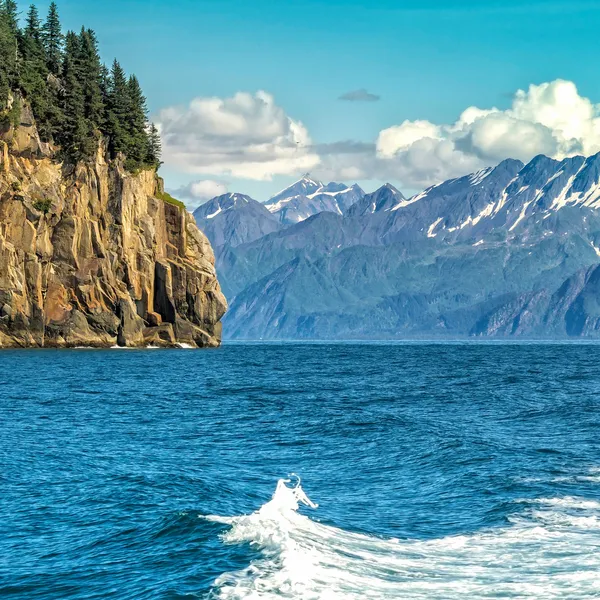 Crociera della fauna selvatica intorno alla baia di risurrezione in Alaska — Foto Stock