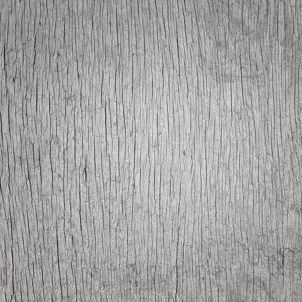 Placa crua de crack de madeira cinza velha — Fotografia de Stock