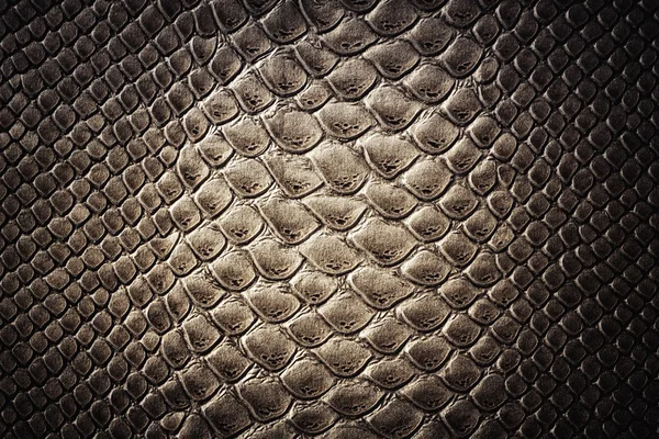 Krokodil hudstruktur — Stockfoto