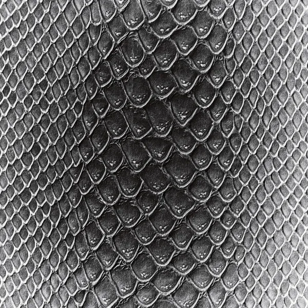 ヘビ皮レザーのテクスチャ — ストック写真