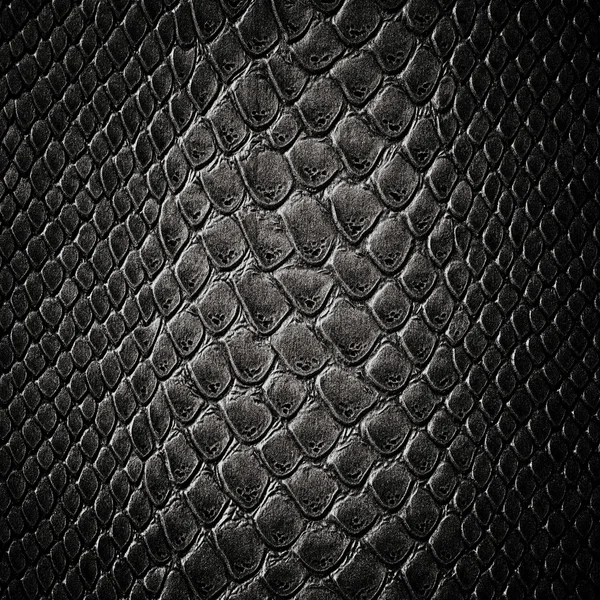 Snake black skin leather texture — Stock Photo, Image