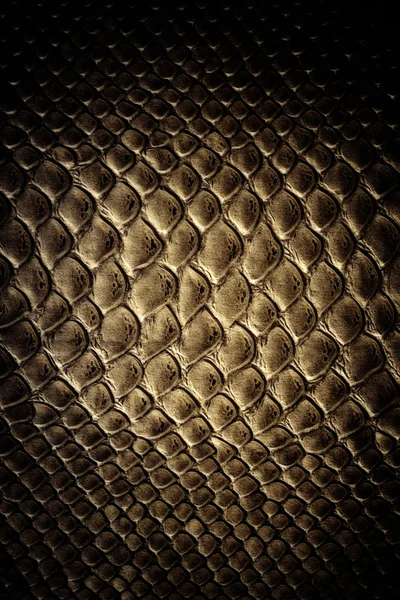 Textura da pele de crocodilo — Fotografia de Stock
