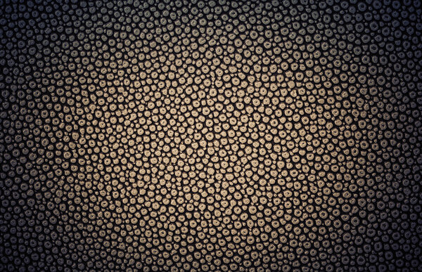 Animal skin leather texture