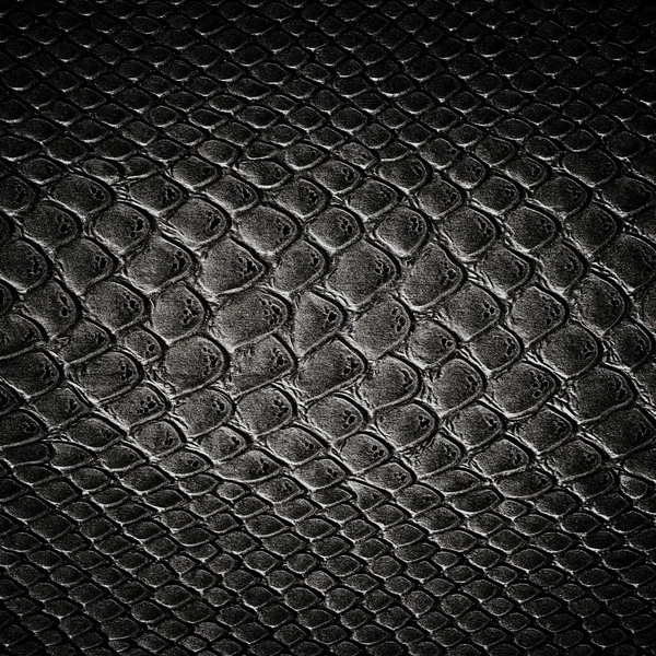 Snake black skin leather texture — Stock Photo, Image