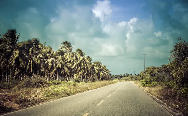 Camino de asfalto tropical — Foto de Stock