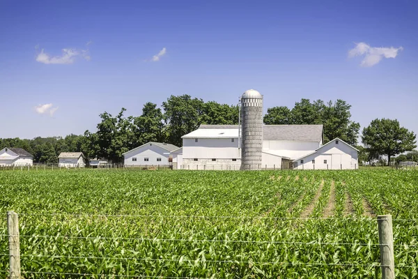 Amerikanska Landsbygden Ekologisk Gård — Stockfoto