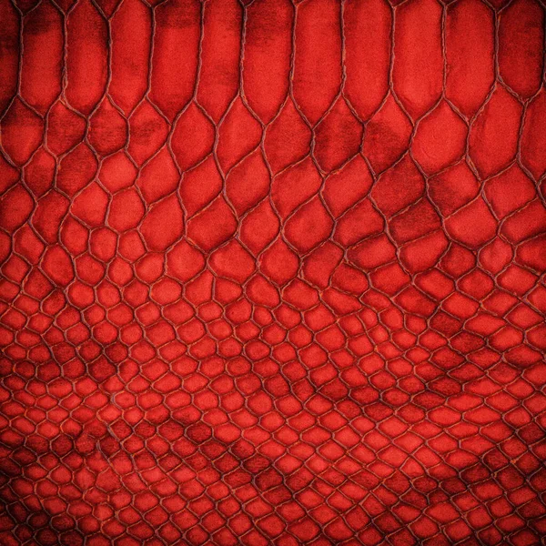 Texture Pelle Coccodrillo Modello Sfondo Foto Stock Royalty Free