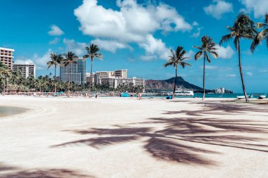 Waikiki Beach with sand and palm trees shadows in Honolulu, Hawaii clipart