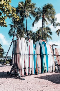 Honolulu, Hawaii 'deki ünlü Waikiki Sahili' nde kumlu sahildeki sörf tahtaları ve palmiye ağaçları.