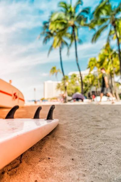 Surfboard Fins Sand Waikiki Beach Palm Trees Background Selective Focus — стоковое фото