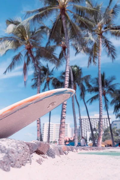 夏威夷瓦胡岛檀香山怀基基海滩棕榈树背景前的冲浪板 有选择的重点 — 图库照片