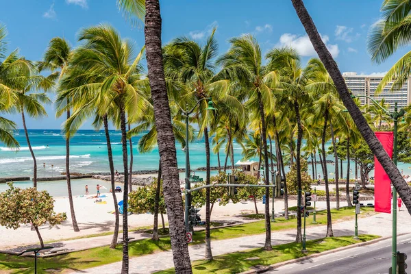 Waikiki Beach Achter Palmbomen Turquoise Aquarel Met Surfers Honolulu Hawaï — Stockfoto