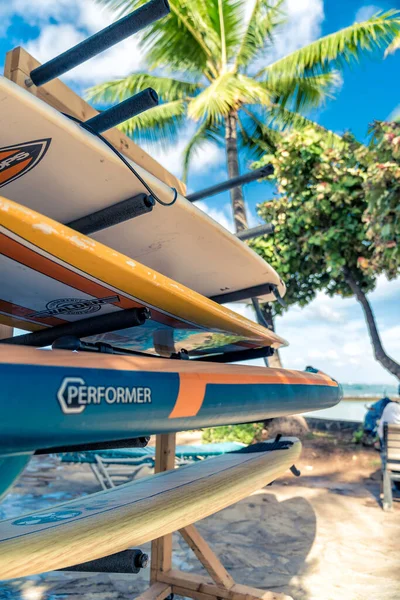 Surfboards Rack Waikiki Beach Palm Trees Background Selective Focus — Stock Photo, Image