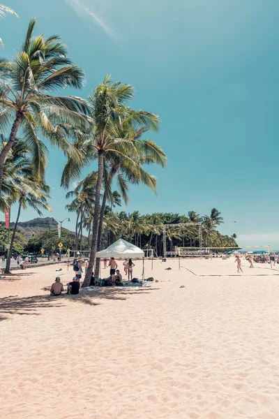 People Relaxing Palm Trees Paying Beach Volleyball Waikiki Beach Honolulu Стоковое Фото