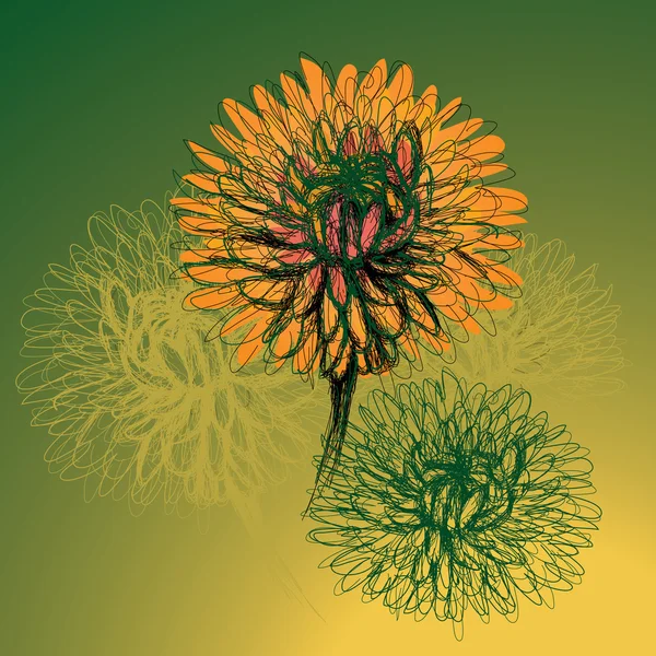 Flowers Chrysanthemum — Stock Vector