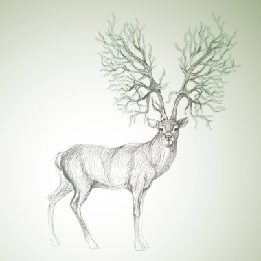 Deer with antlers like Christmas tree