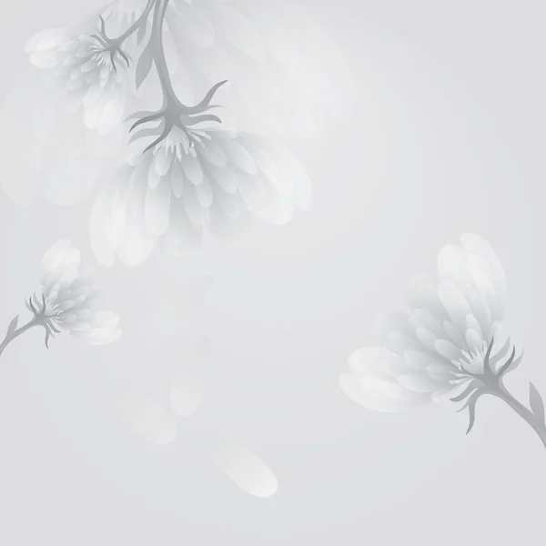Pivoine des fleurs — Image vectorielle