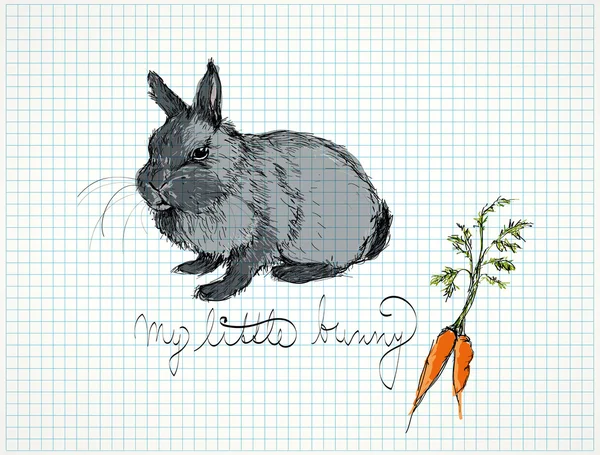 Mon petit lapin — Image vectorielle