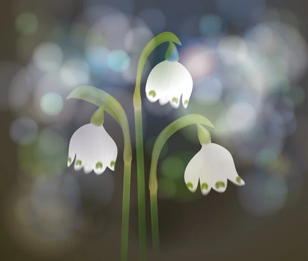 Schneeflocke im Frühling — Stockvektor