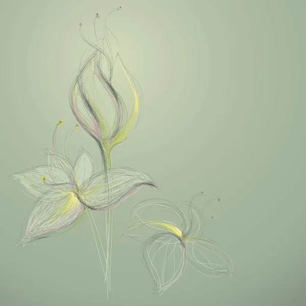 草绘的抽象花 — 图库矢量图片#